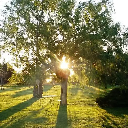 Couette-café Del Cavalier