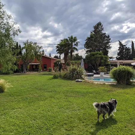 Couette-café Del Cavalier Baho