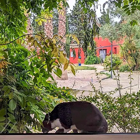 Del Cavalier Bed & Breakfast
